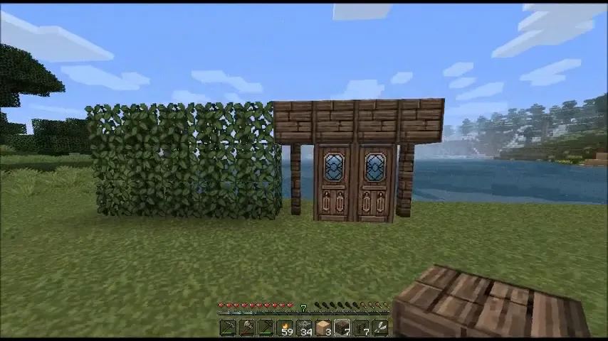 Minecraft Hedge Design 